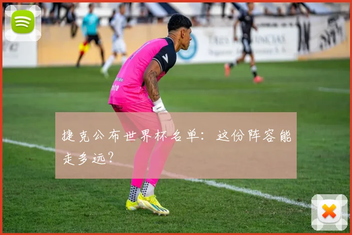 捷克公布世界杯名单：这份阵容能走多远？