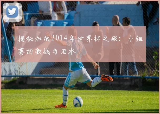 揭秘加纳2014年世界杯之旅：小组赛的激战与泪水