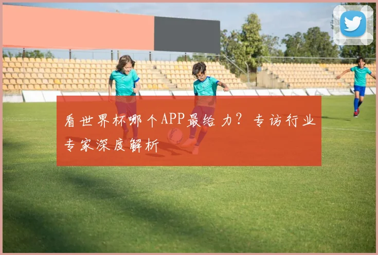 看世界杯哪个APP最给力?专访行业专家深度解析