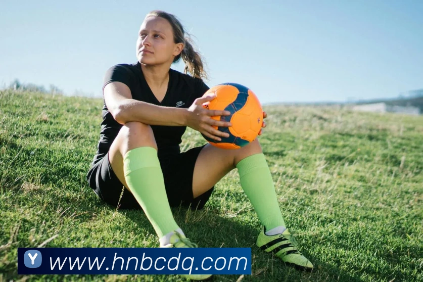 大阳城3官方娱乐网站APP 封面图